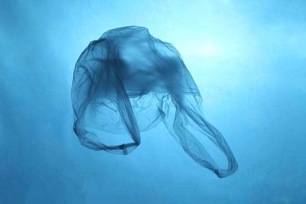 Ocean-bound Plastic